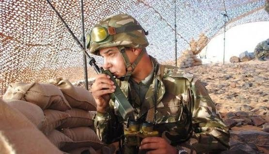 الجيش يحاصر مجموعة إرهابية في الشلف