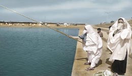 Ghazaouet/ Formation : Elles seront patronnes de pêche