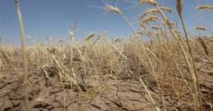 Tlemcen: Le stress hydrique gagne les agriculteurs