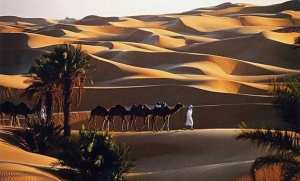 Ouargla: le tourisme d'affaire, un véritable potentiel à développer dans la wilaya