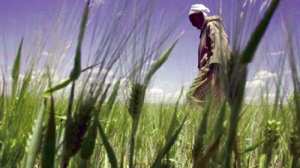 Vers la définition des activités liées au parc de l'Atlas saharien