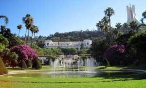 Plus de 200 jardins algérois en voie de réhabilitation