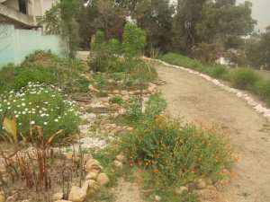 Constantine - Djenane Dardar Qacentina