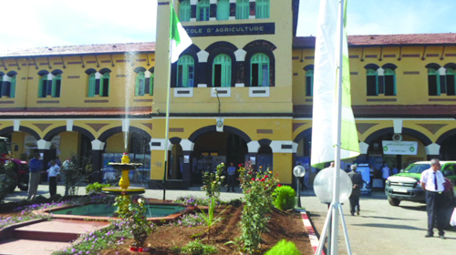 Investir dans la formation de l'agriculteur