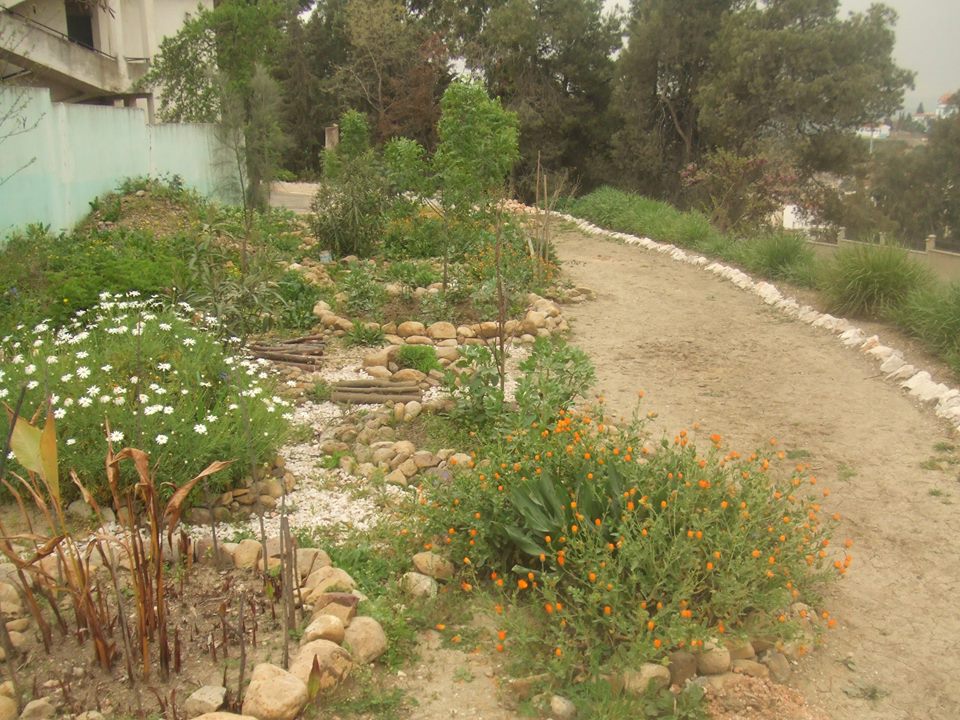 Constantine - Djenane Dardar Qacentina