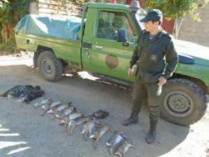 Région Ouest de Blida - Des braconniers s’attaquent à la biodiversité
