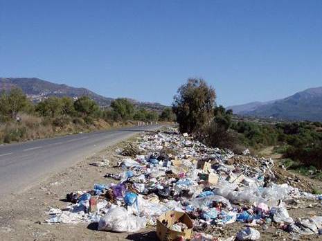 Tizi Ouzou : La question de l'environnement demeure posée