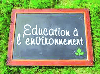 Les internautes s'en mêlent