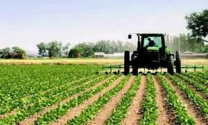 تمنراست: تنويع المنتجات أحد رهانات قطاع الفلاحة