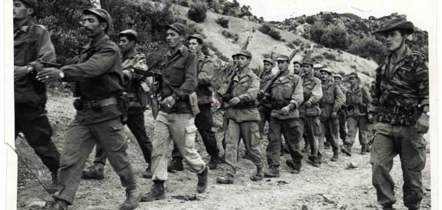 هنا الثقافية تخصص عددا خاصا للثورة والتراث الثقافي والسياحي بالمدية