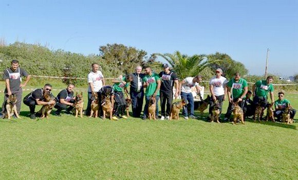 المعرض الوطني ال35 لتربية كلب الراعي الألماني يستقطب جمهورا غفيرا بالجزائر العاصمة