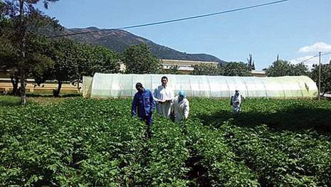 Les stagiaires boudent les spécialités agricoles
