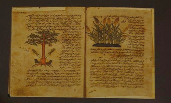 22e Sila: un premier projet algérien de numérisation de manuscrits