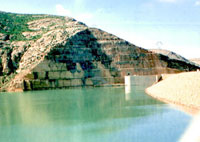 Relizane                                    L'eau coule à flots