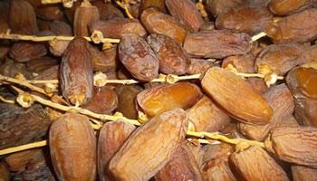 Les dattes de la 