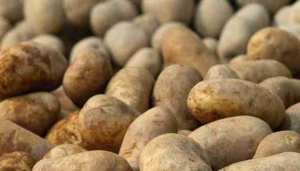 ارتفاع أسعار الخضر يثير مخاوف مواطني سعيدة