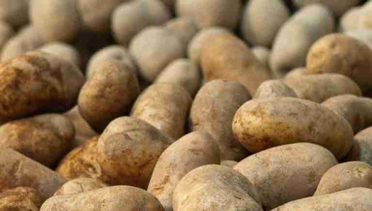 ارتفاع أسعار الخضر يثير مخاوف مواطني سعيدة