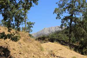 Planète - France: Ils ont acquis 115 hectares sur Le Bon Coin et créé une réserve naturelle