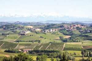 شرط مسبق لأي إقلاع في تيبازة