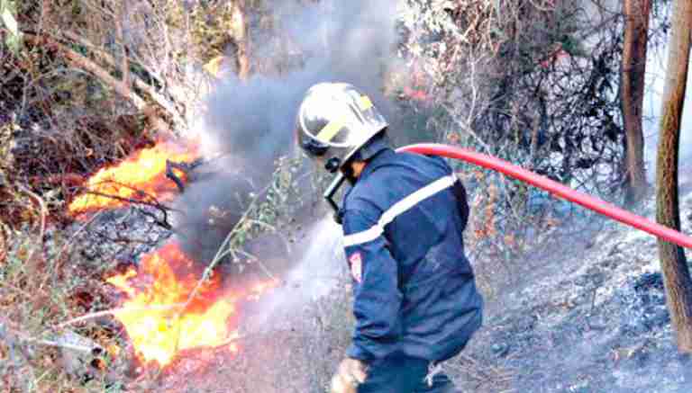 تخصيص أزيد من 41 مليون دج بتيزي وزو