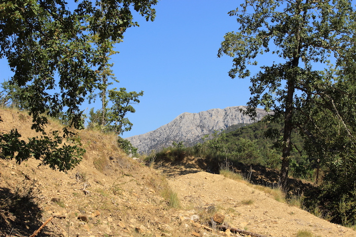 Planète - France: Ils ont acquis 115 hectares sur Le Bon Coin et créé une réserve naturelle