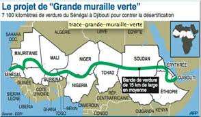 AFRIQUE -  LA GRANDE MURAILLE VERTE REPOUSSE LE DÉSERT DU SAHARA