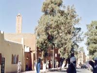 Pour la salubrité de la ville de Tamanrasset                                    Recours aux méthodes répressives !