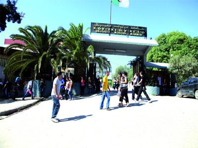 Nette reculade de l'université algérienne                                    Défaillances à tous les niveaux