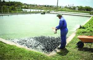 Ouargla, nouveau pôle économique