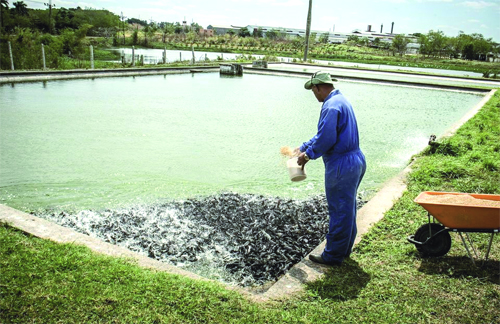 Ouargla, nouveau pôle économique