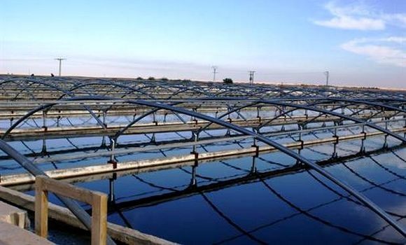 Un millier d'agriculteurs versés dans la pisciculture intégrée à l'agriculture