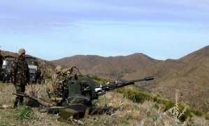Destruction de cinq abris pour terroristes à Batna et Jijel (MDN)