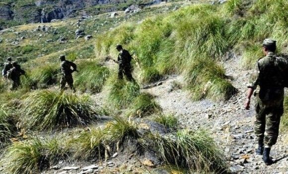 Deux dangereux terroristes abattus à Bouira (MDN)