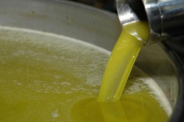 توقع إنتاج بين 5 و6 ملايين لتر من زيت الزيتون بالبويرة