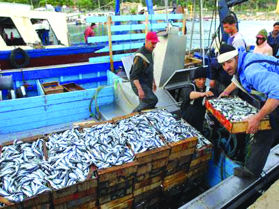 L'aquaculture en pleine mutation