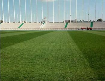 Seuls les derbys et les grandes affiches