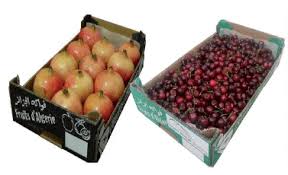 Grâce à l’initiative de deux jeunes opérateurs d’Annaba:  Des fruits et légumes locaux sur les étals des marchés français