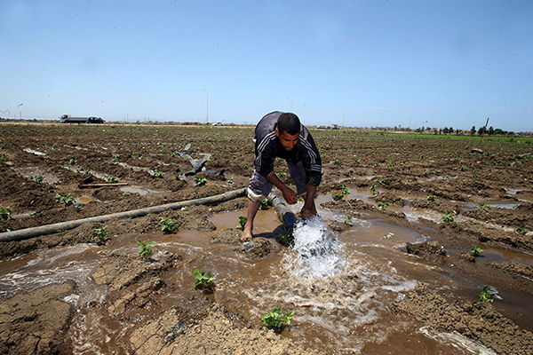 1500 هكتار من الأشجار والحبوب مهدّدة بالزوال بقرية الصوالح في المسيلة