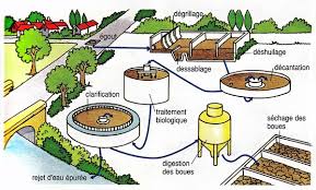 Guelma -  Les eaux recyclées au service des périmètres irrigués