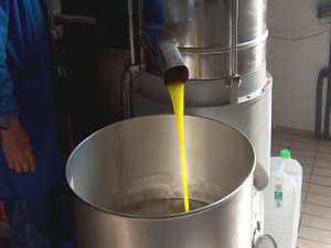 Production de l'huile d'olive : Près de 15.000 litres ont été exportés en 2017