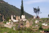 Trois femmes arrêtées pour profanation de tombes                                    Sidi Bel-Abbes