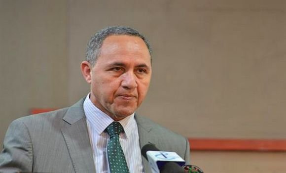 إيليزي : نحو إنشاء إستديوهات سينمائية بولايات الجنوب