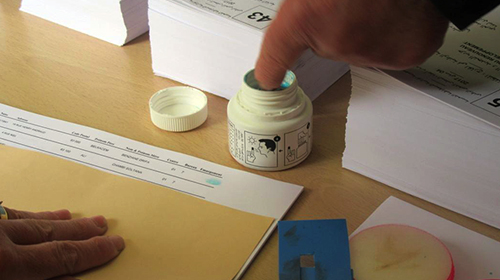 Les opérations de vote lancées dans le Grand Sud