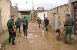 ارتفاع محسوس في نسبة الجريمة بالمدية