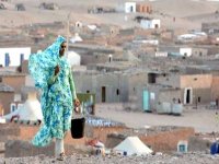 Création à Paris d'un réseau de Français d'origine africaine solidaires de la RASD