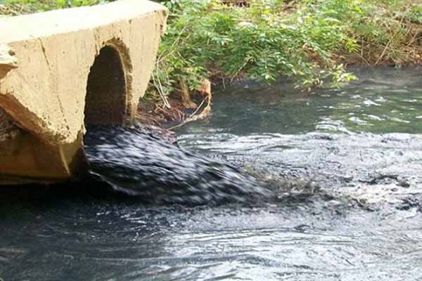 مسابح للمياه القذرة وتلاميذ مهدّدون بالأمراض وسط ورقلة
