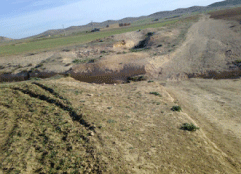 الشريعة بتبسة