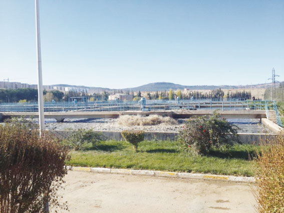 13 ألف م3 من المياه الصالحة للاستعمال ترمى في وادي سعيدة يوميا