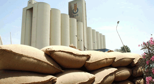 احتجاج في ديوان الحبوب بولاية الجلفة وتذمر واسع للموالين!