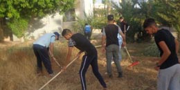 Chlef/Campagne de nettoyage : Le jardin du 5-Juillet fait peau neuve